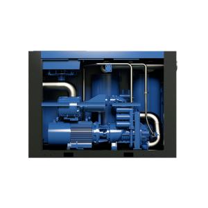Low Pressure VPM (VSD+PM) Screw Air Compressor